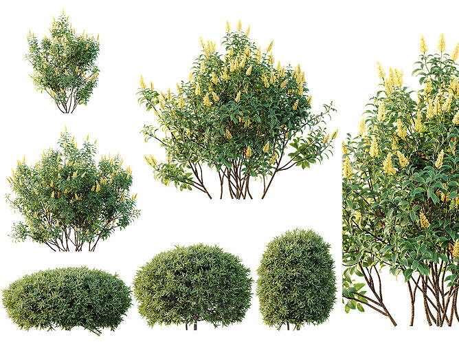 AV Spring bushes 3D model