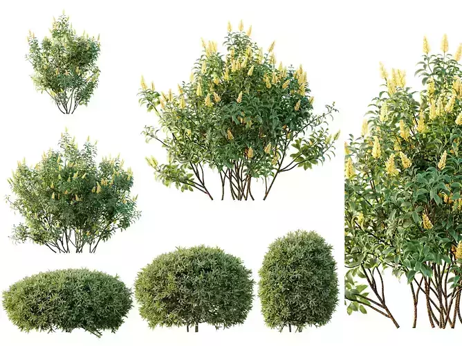 AV Spring bushes 3D model