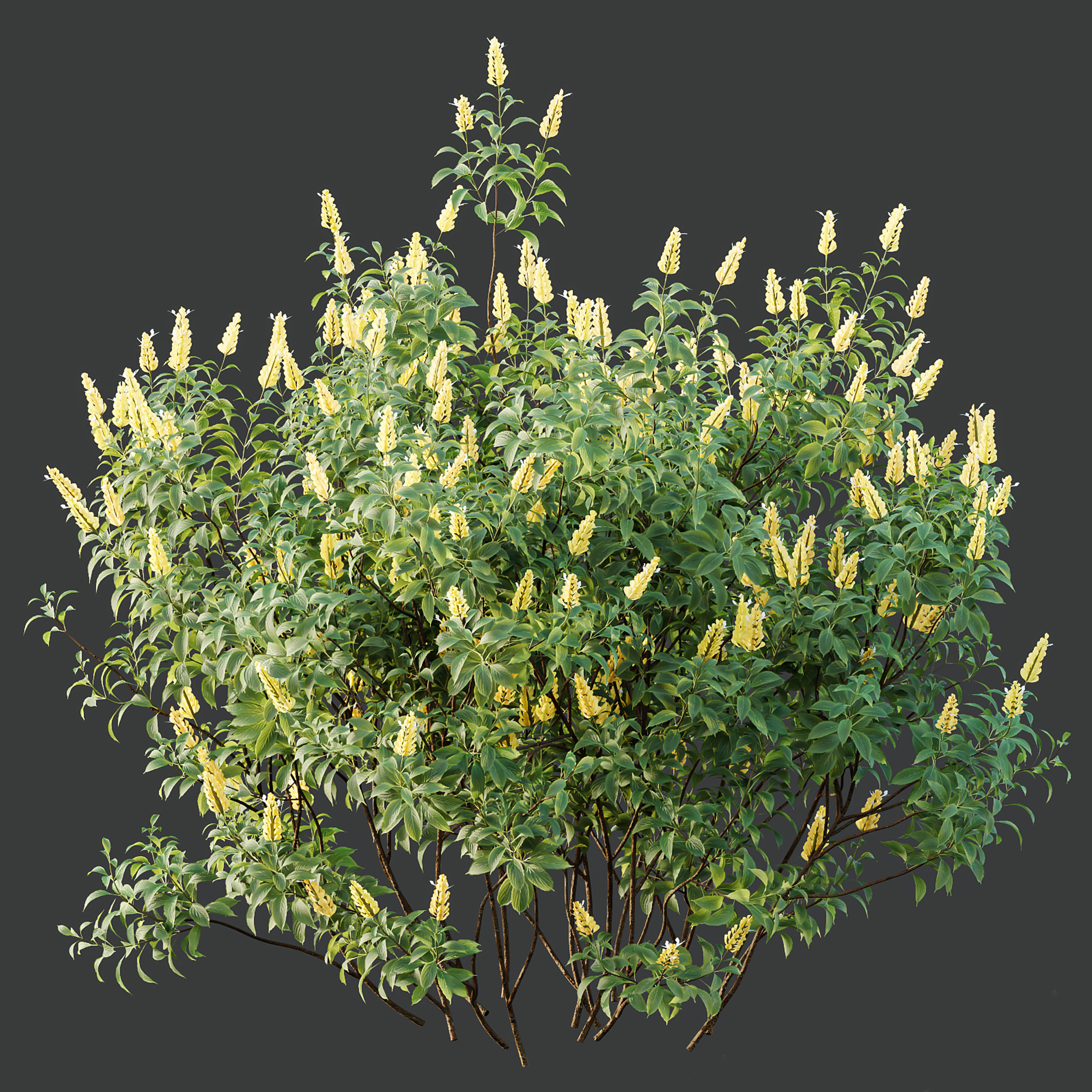 AV Spring bushes 3D model_6
