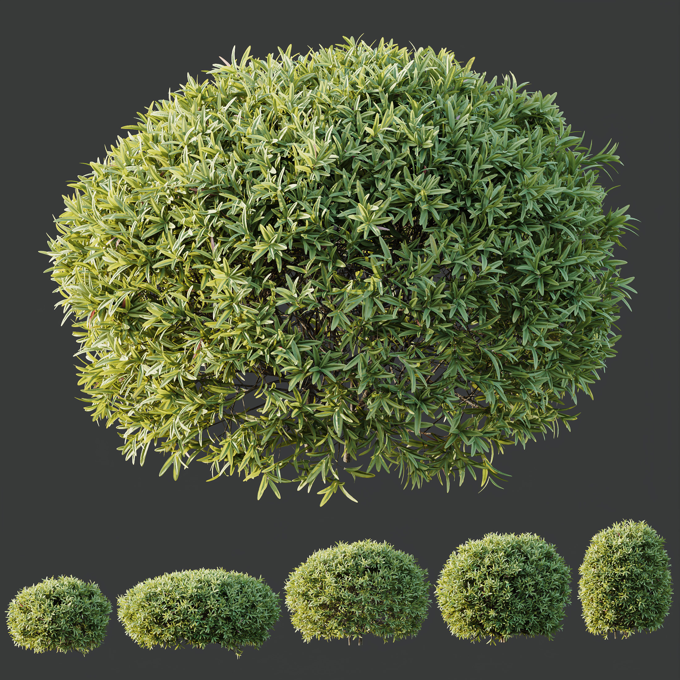 AV Spring bushes 3D model_7