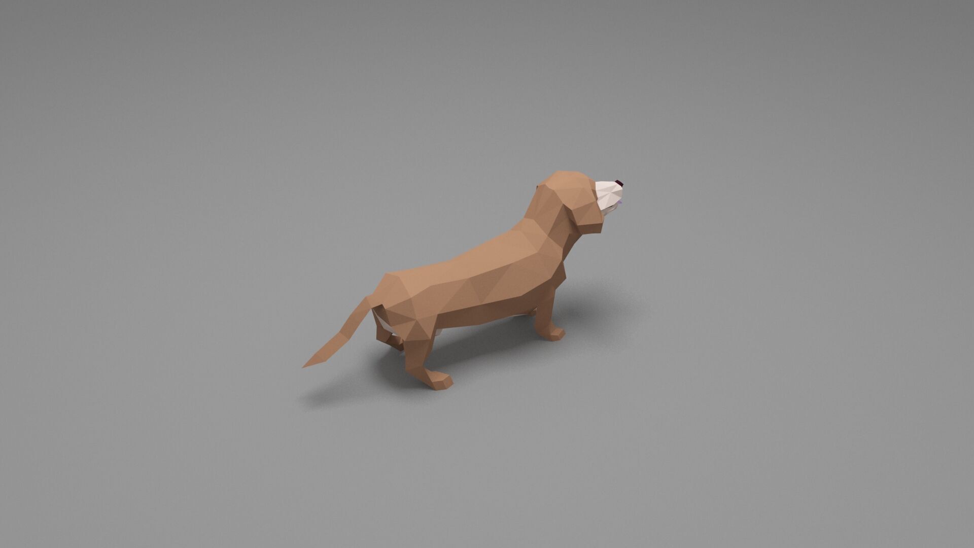 Dog Low Poly 10 Low-poly 3D model_4
