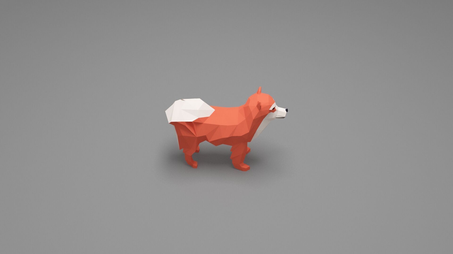 Dog Low Poly 11 Low-poly 3D model_4