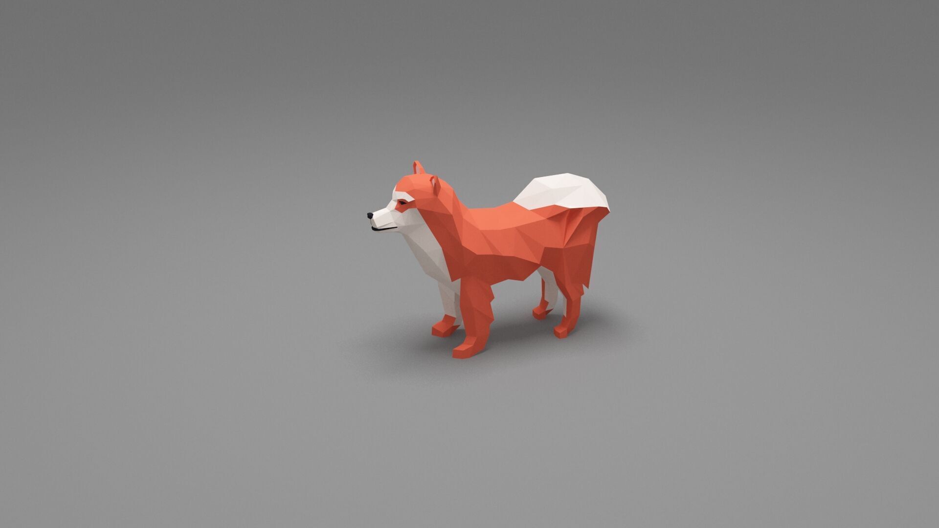 Dog Low Poly 11 Low-poly 3D model_2