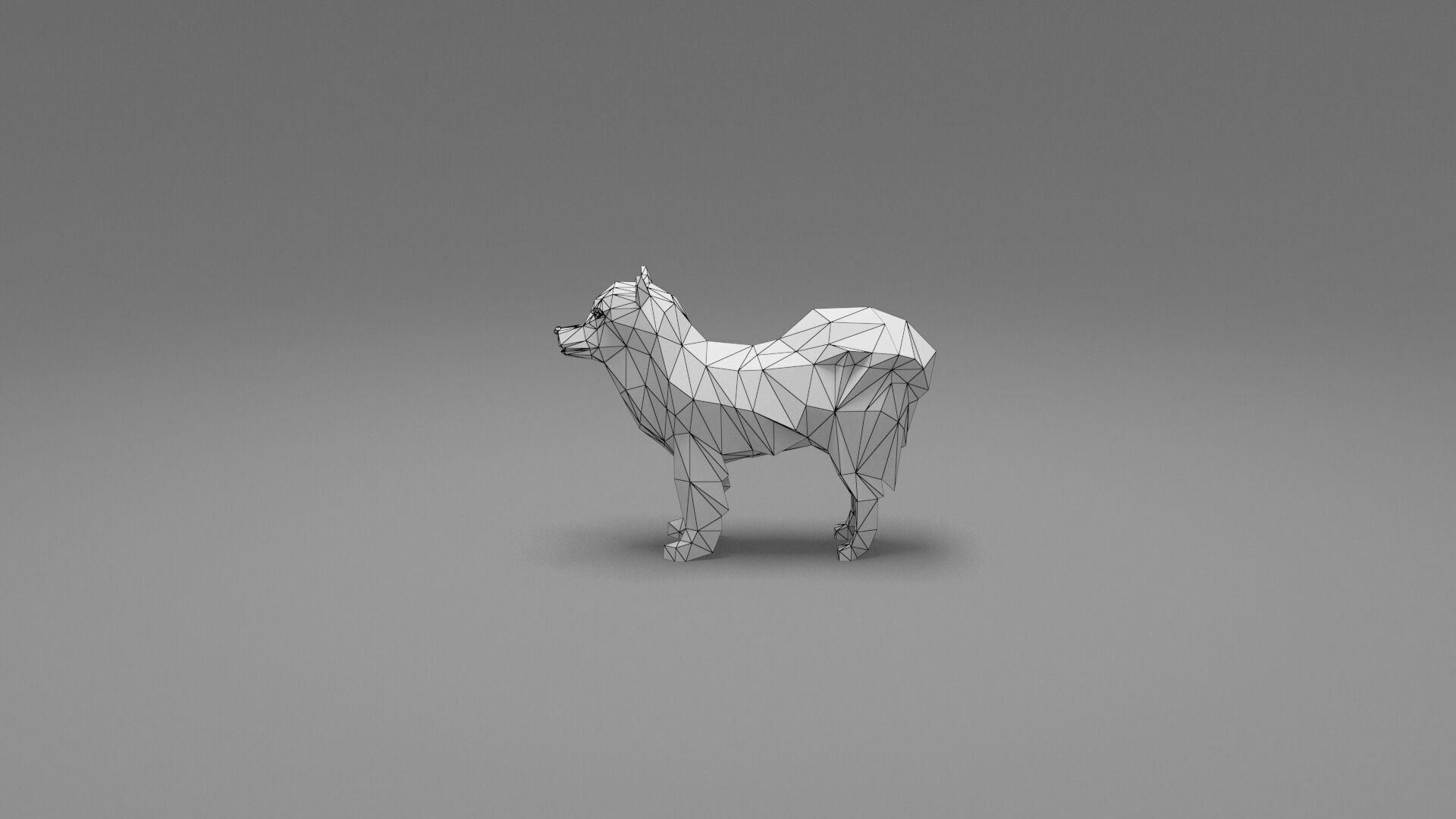 Dog Low Poly 11 Low-poly 3D model_8