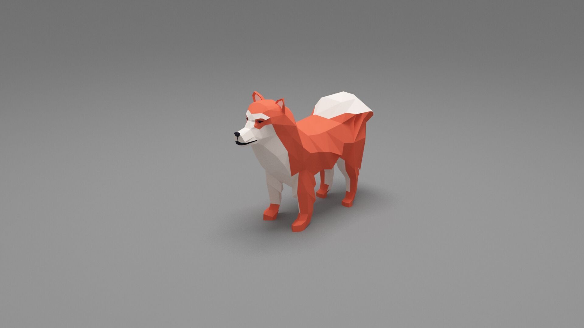 Dog Low Poly 11 Low-poly 3D model_1