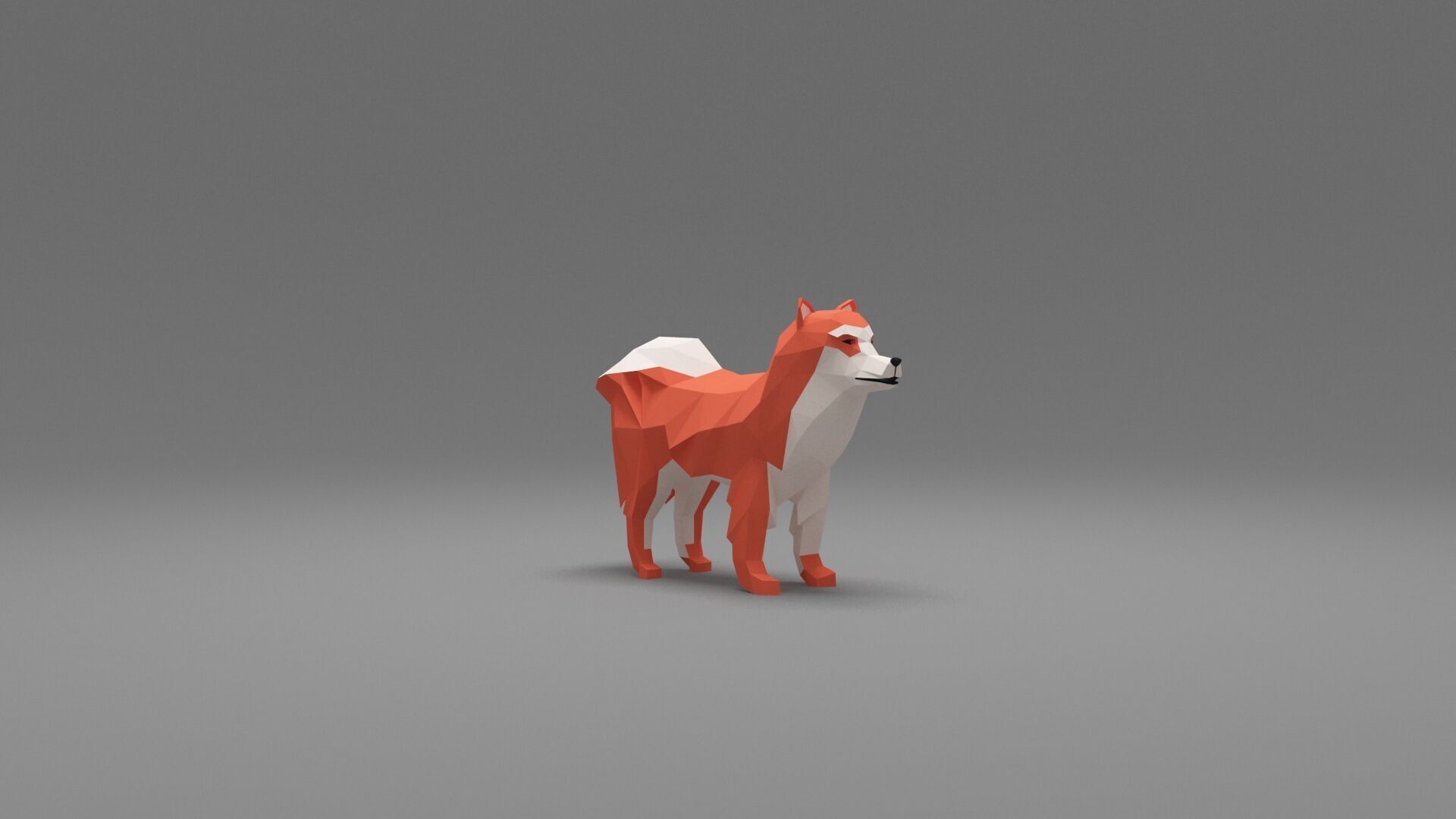 Dog Low Poly 11 Low-poly 3D model_5