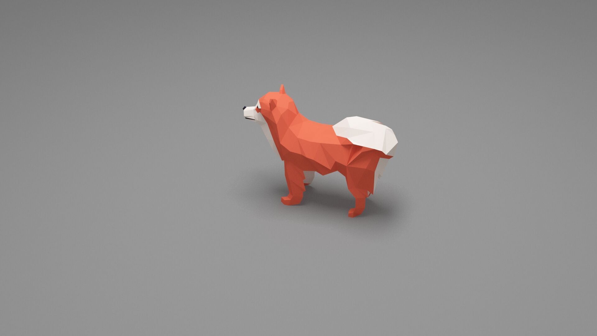 Dog Low Poly 11 Low-poly 3D model_3