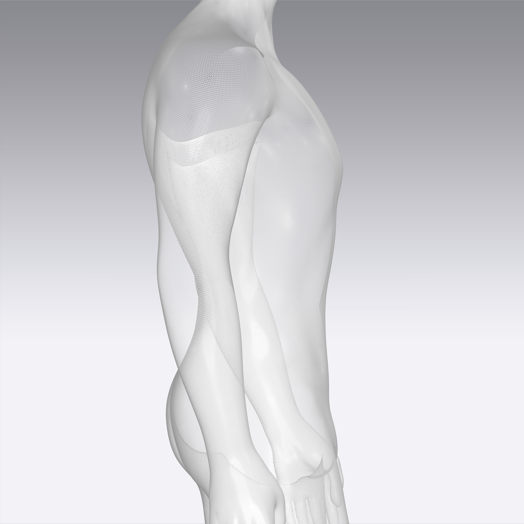 Male mannequin Clo3d high poly 3D model_23