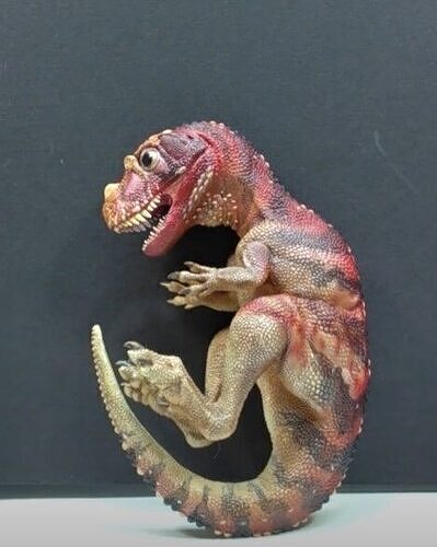 Embrione Ceratosauro 3D print model