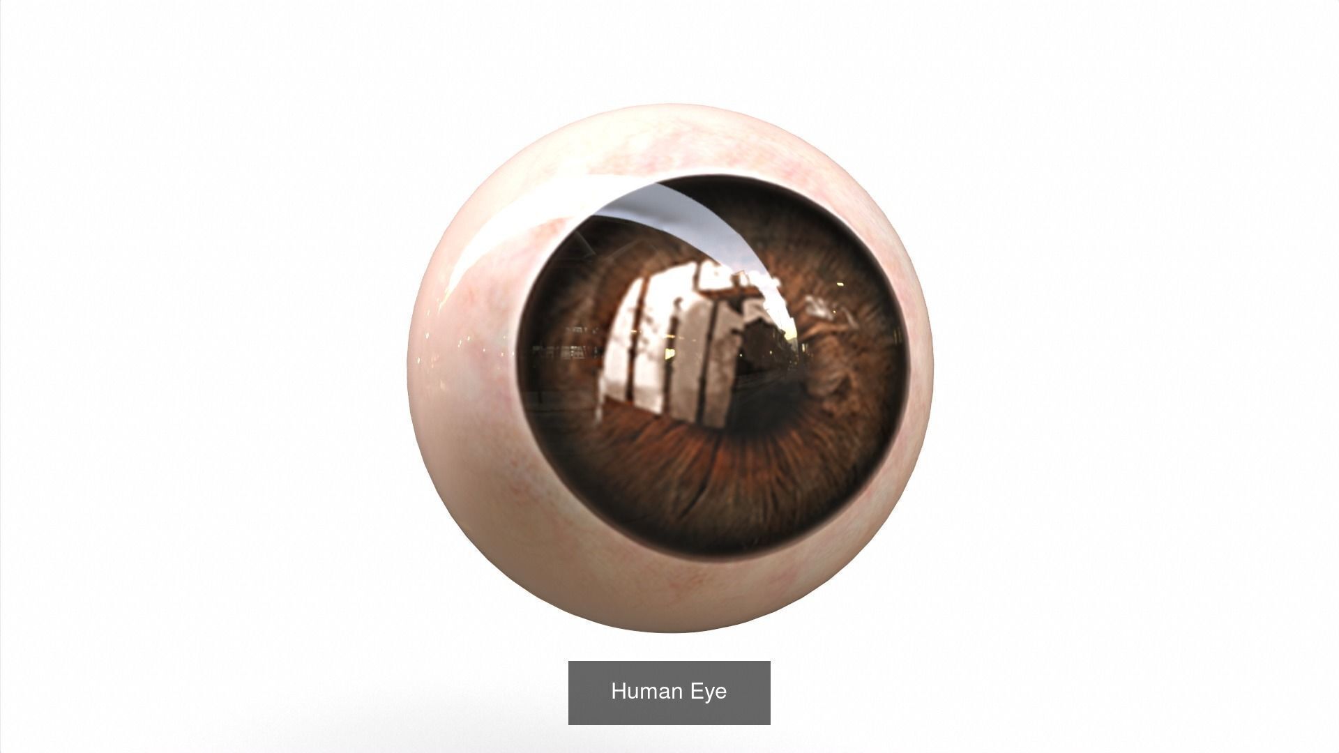 Ultimate 3D Model Bundle High-Quality Game Ready 1 3D Model Collection_48