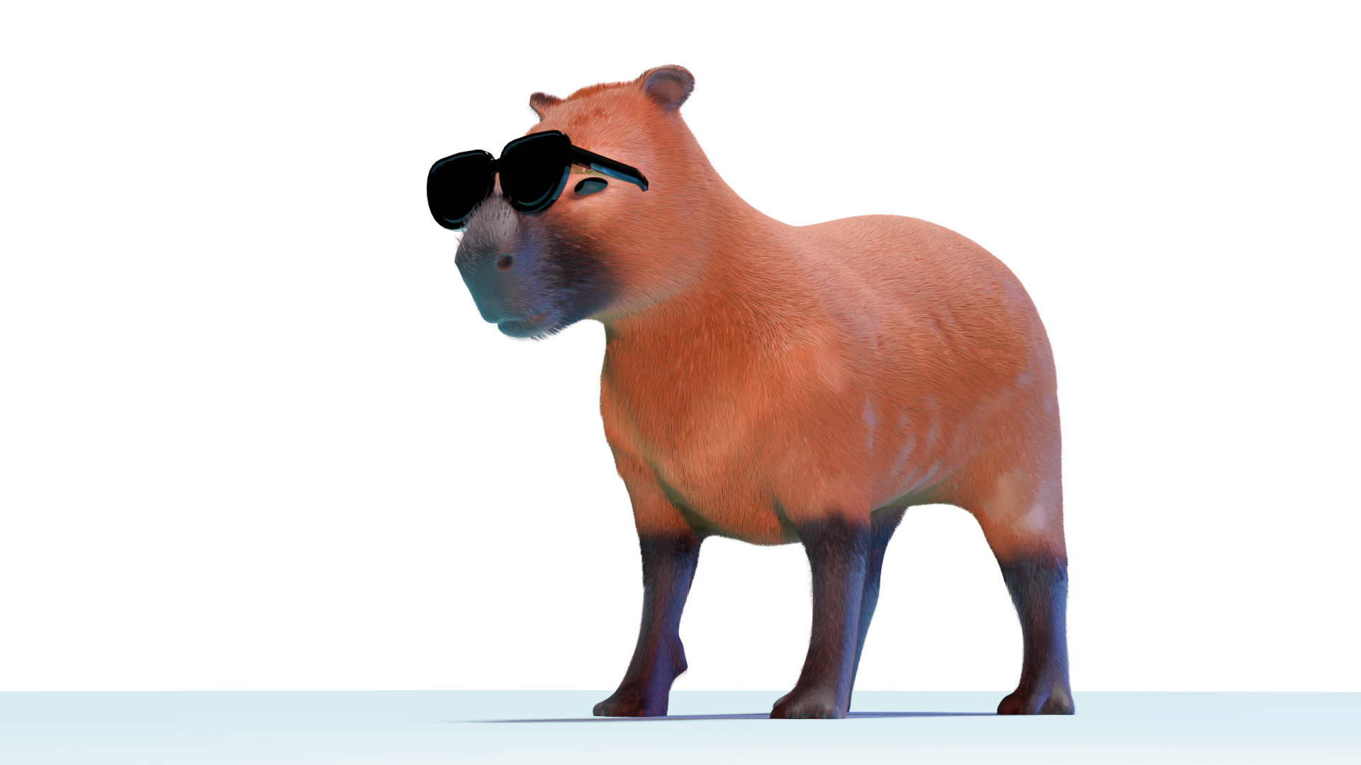 Capybara in sun glassess 3D model_5