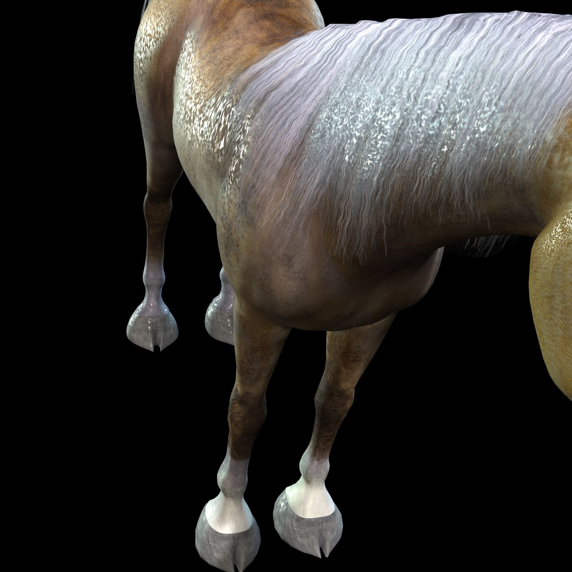 ARABIAN HORSE PUREBLOOD WILD WORLD PONY Low-poly 3D model_7