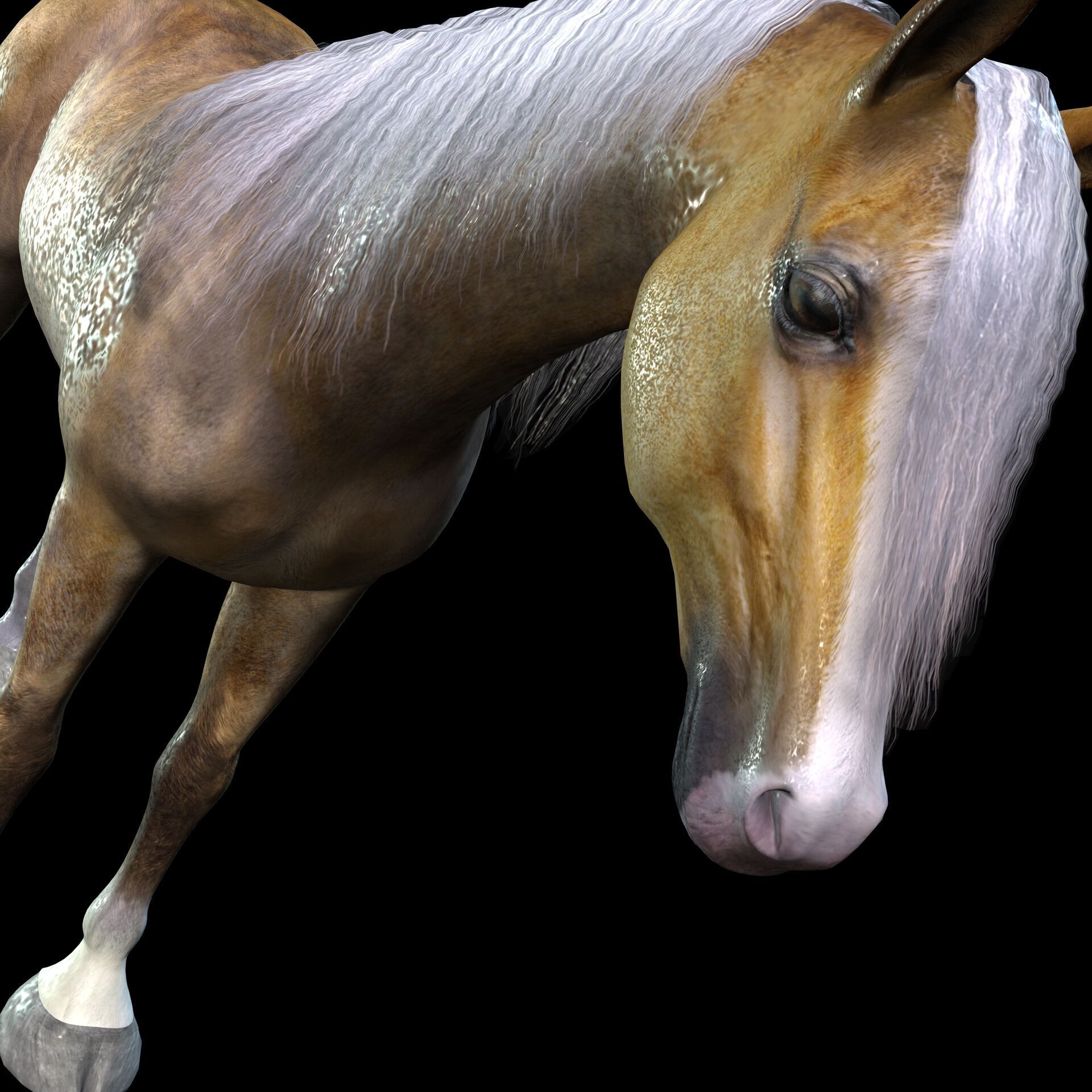 ARABIAN HORSE PUREBLOOD WILD WORLD PONY Low-poly 3D model_2