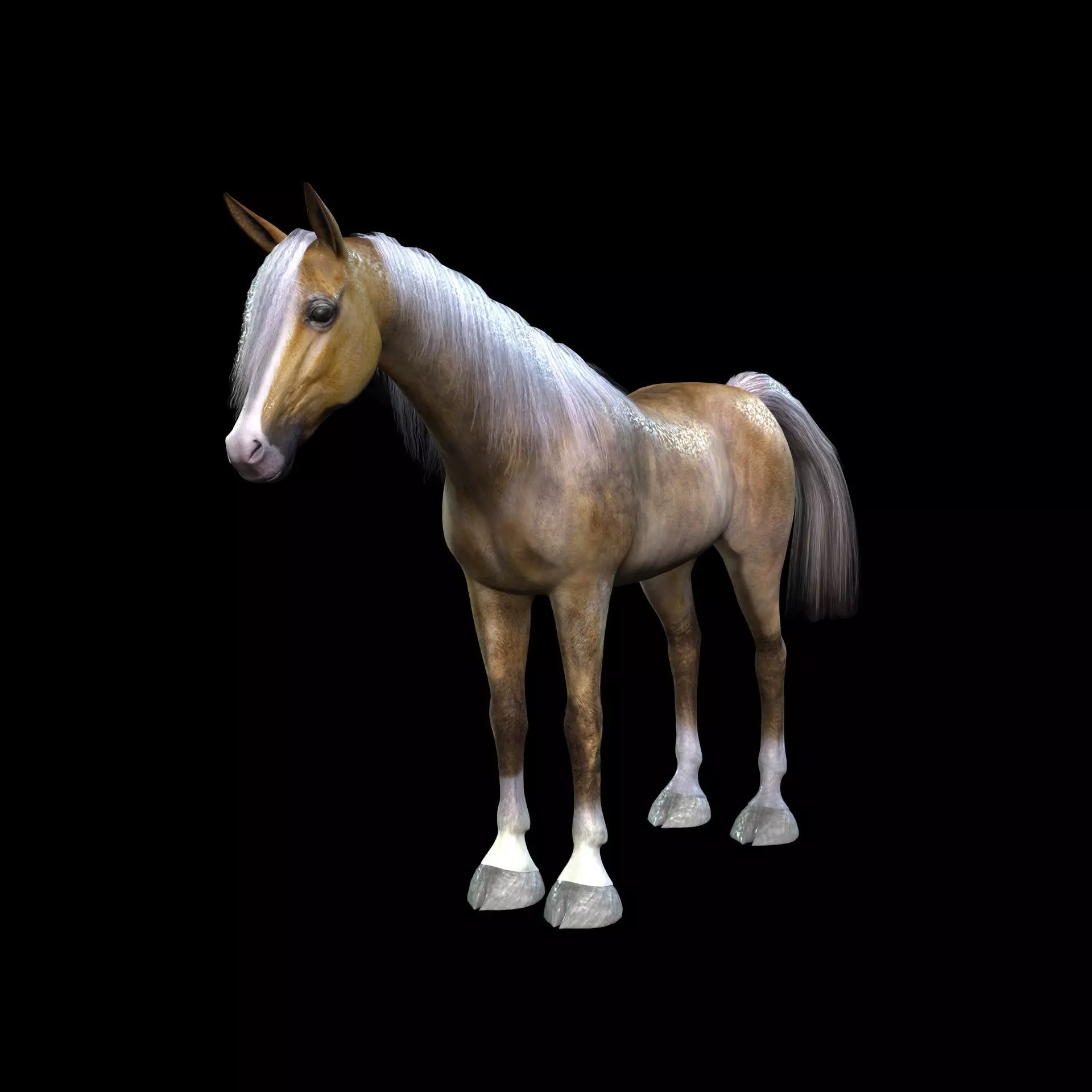 ARABIAN HORSE PUREBLOOD WILD WORLD PONY Low-poly 3D model_0