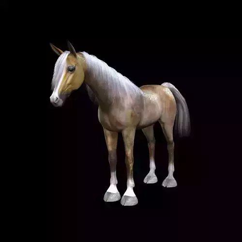 ARABIAN HORSE PUREBLOOD WILD WORLD PONY Low-poly 3D model