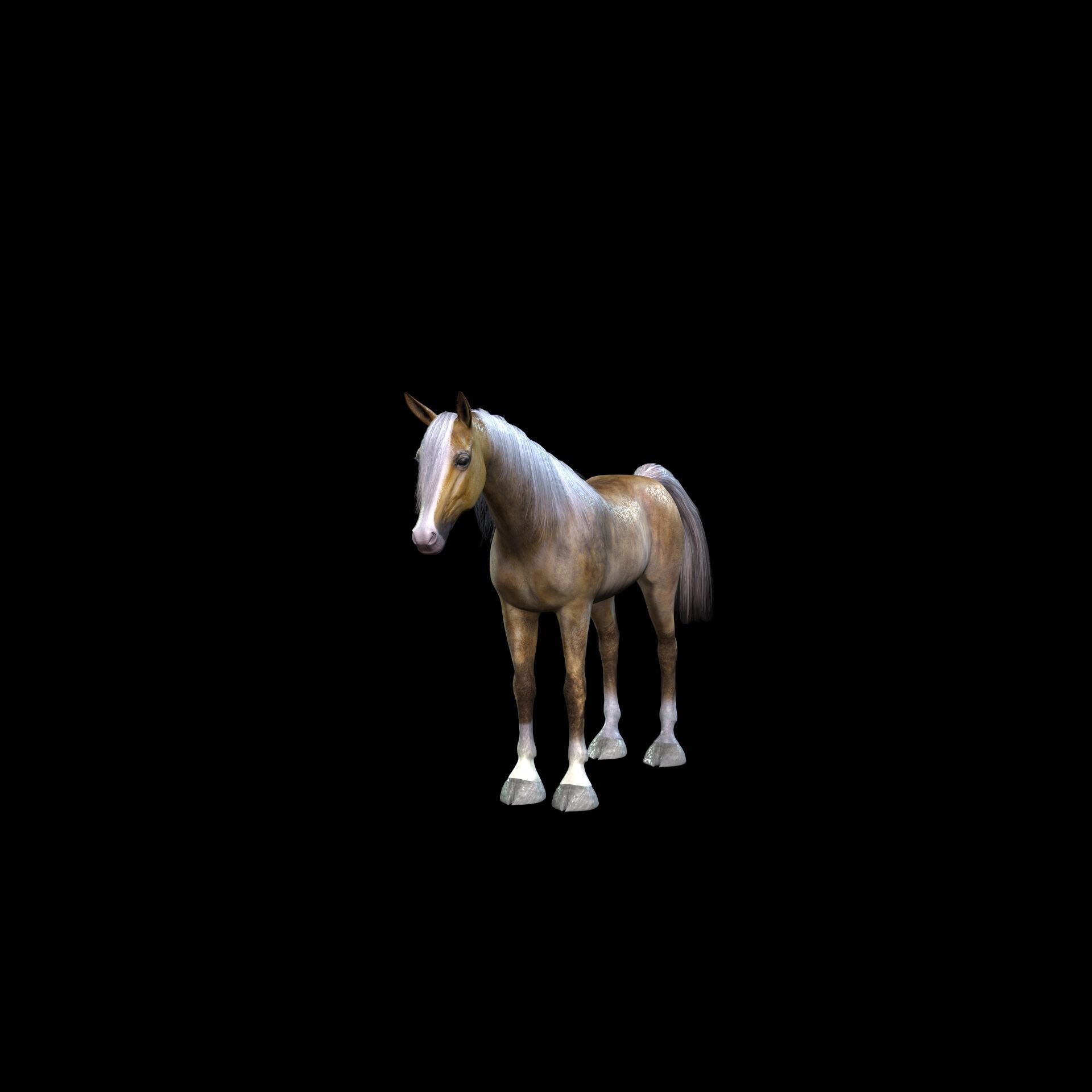 ARABIAN HORSE PUREBLOOD WILD WORLD PONY Low-poly 3D model_3