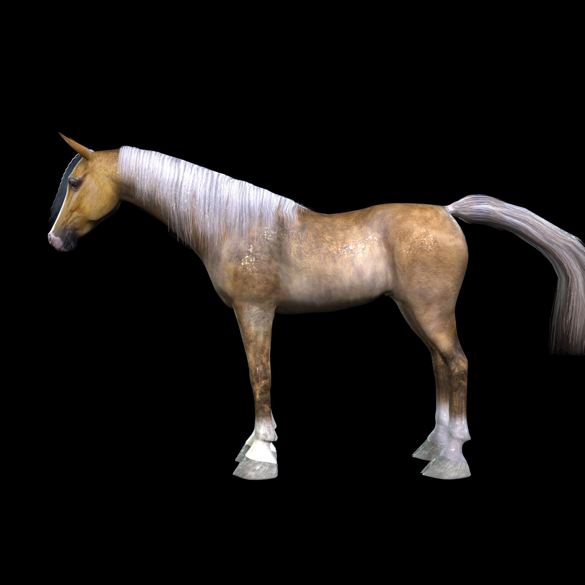 ARABIAN HORSE PUREBLOOD WILD WORLD PONY Low-poly 3D model_1
