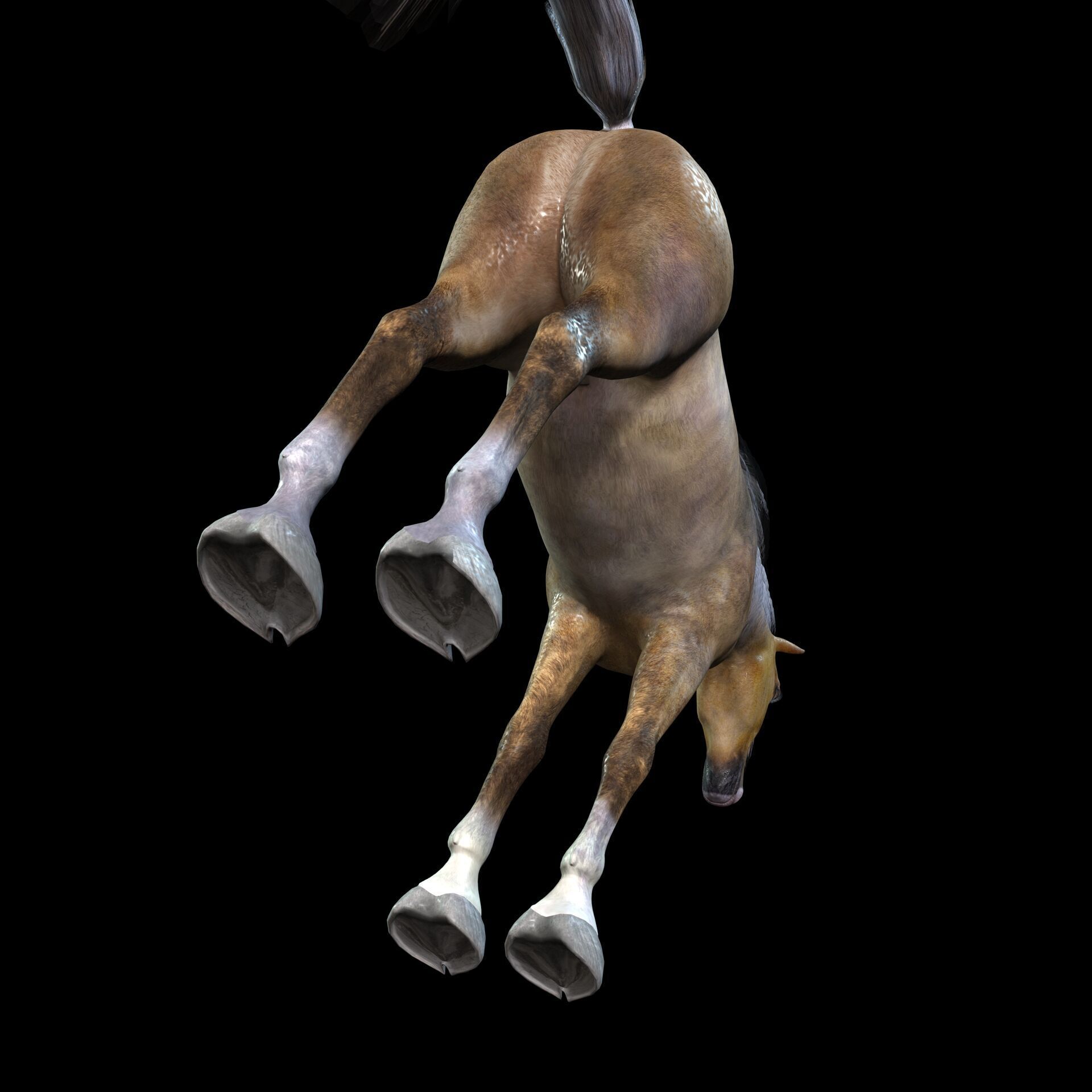 ARABIAN HORSE PUREBLOOD WILD WORLD PONY Low-poly 3D model_5