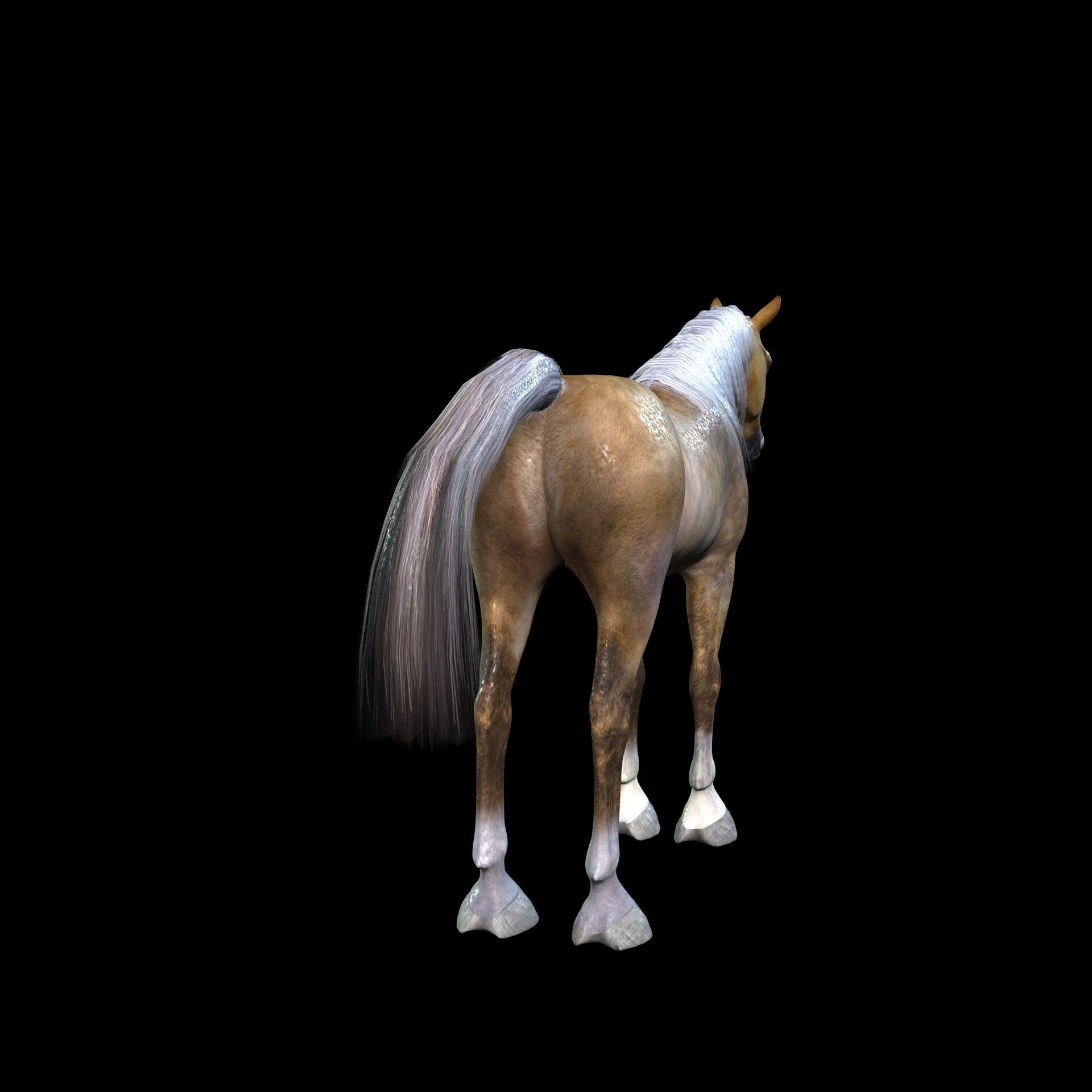 ARABIAN HORSE PUREBLOOD WILD WORLD PONY Low-poly 3D model_4