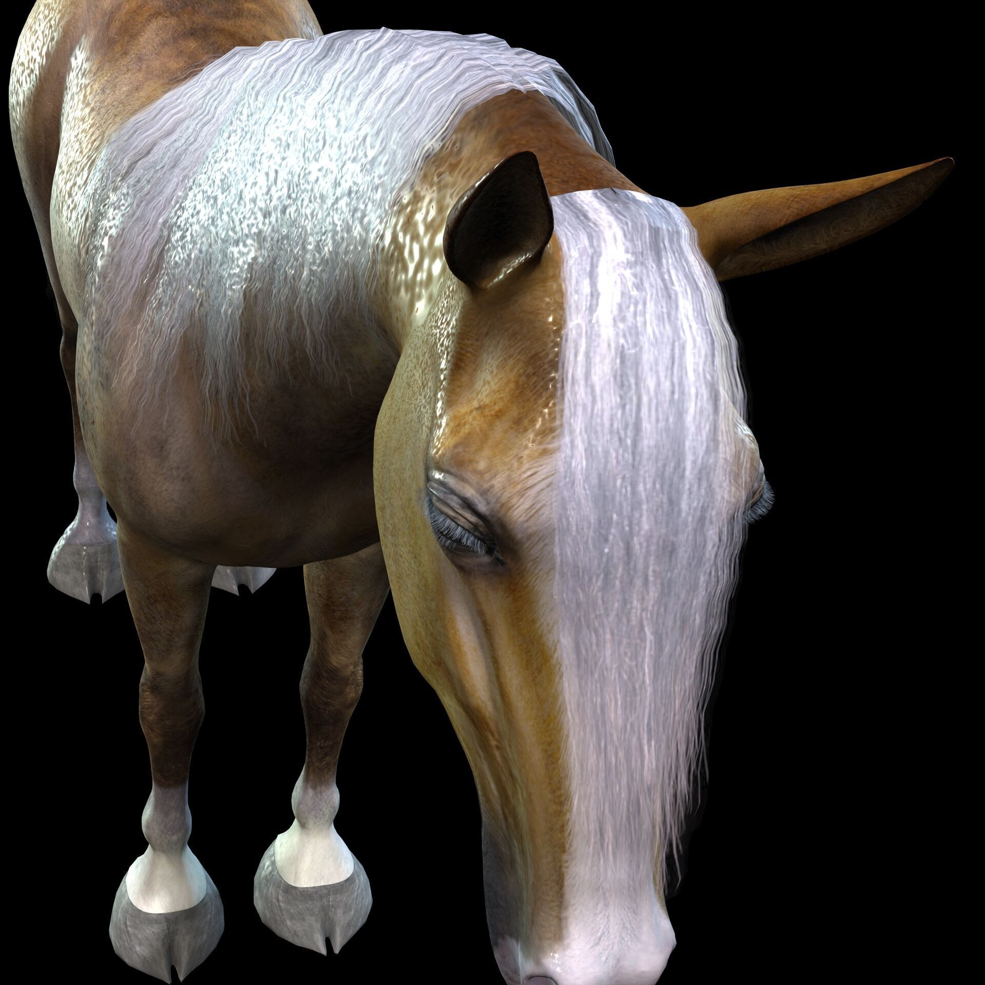 ARABIAN HORSE PUREBLOOD WILD WORLD PONY Low-poly 3D model_8