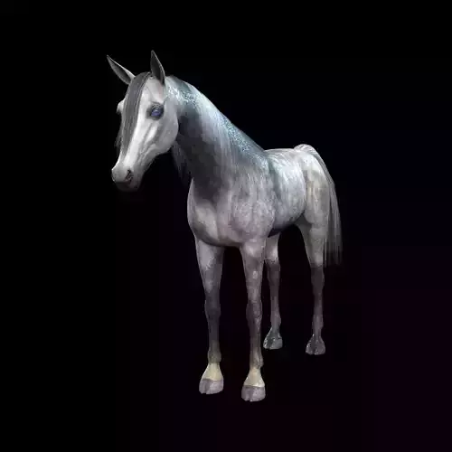 ARABIAN HORSE PUREBLOOD WILD WORLD PONY 1 Low-poly 3D model