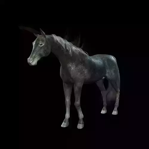 ARABIAN HORSE PUREBLOOD WILD WORLD PONY 2 GREY Low-poly 3D model