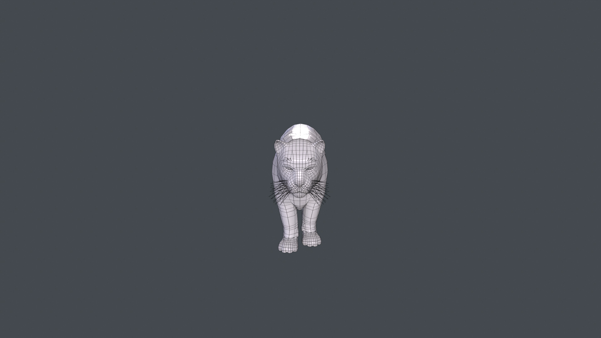 Realistic Snow Leopard Rigged and Animated Low-poly 3D model_14