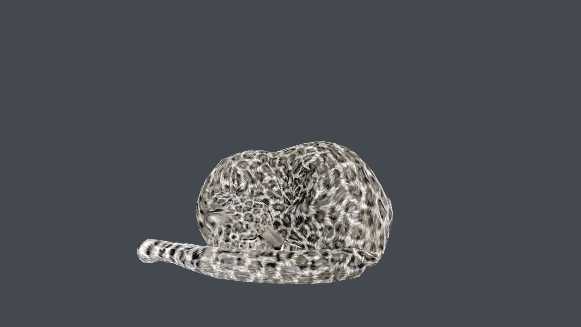 Realistic Snow Leopard Rigged and Animated Low-poly 3D model_10