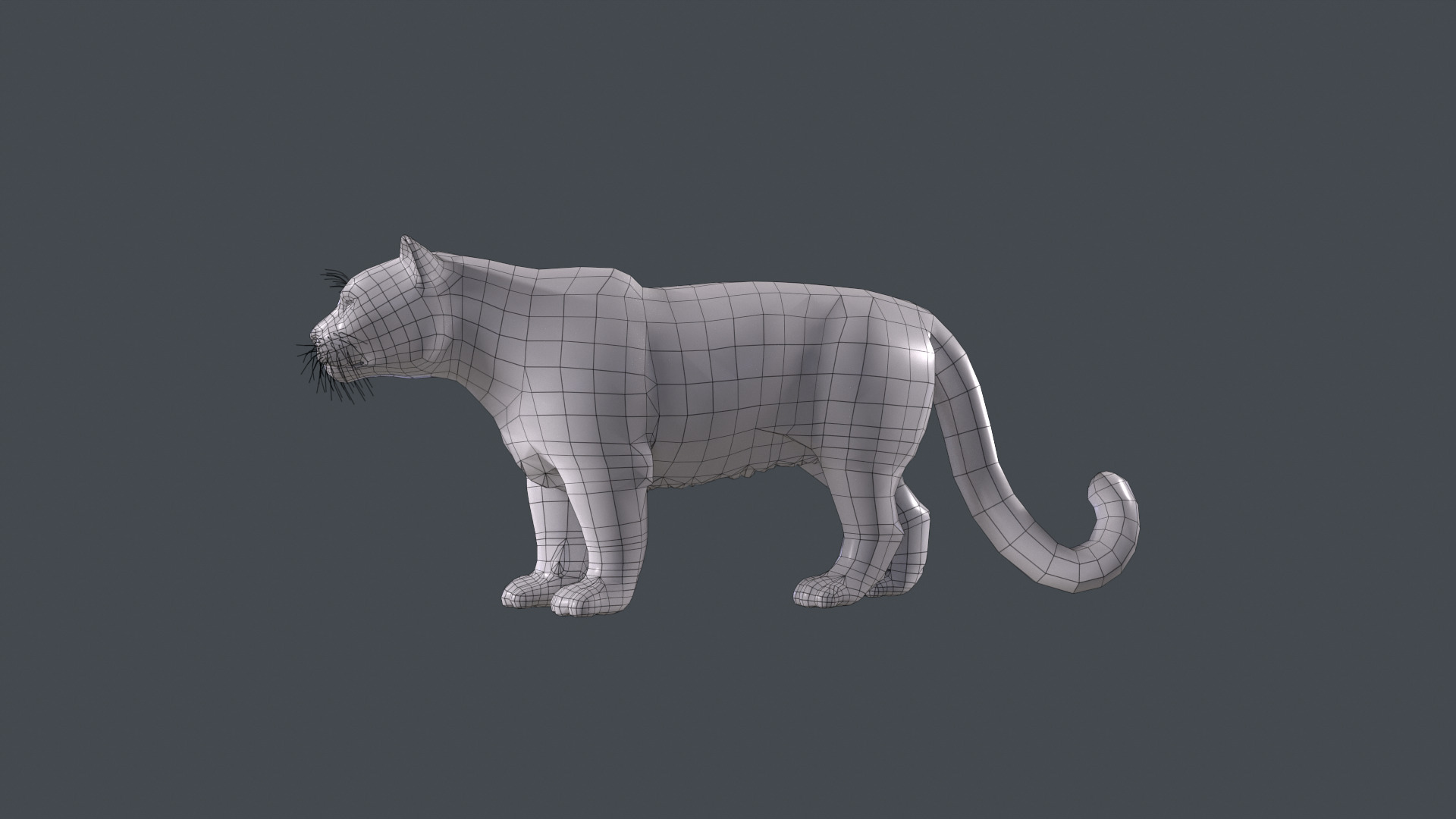 Realistic Snow Leopard Rigged and Animated Low-poly 3D model_15