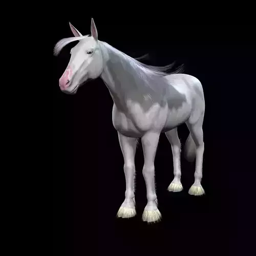 Thoroughbred Arabian Horse WILD WORLD PONY 4 ALBINO Low-poly 3D model