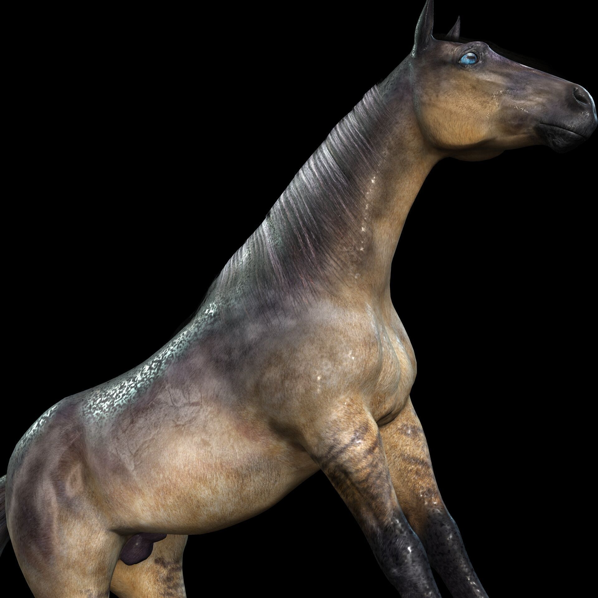 Thoroughbred Arabian Horse WILD WORLD PONY 5 Low-poly 3D model_6