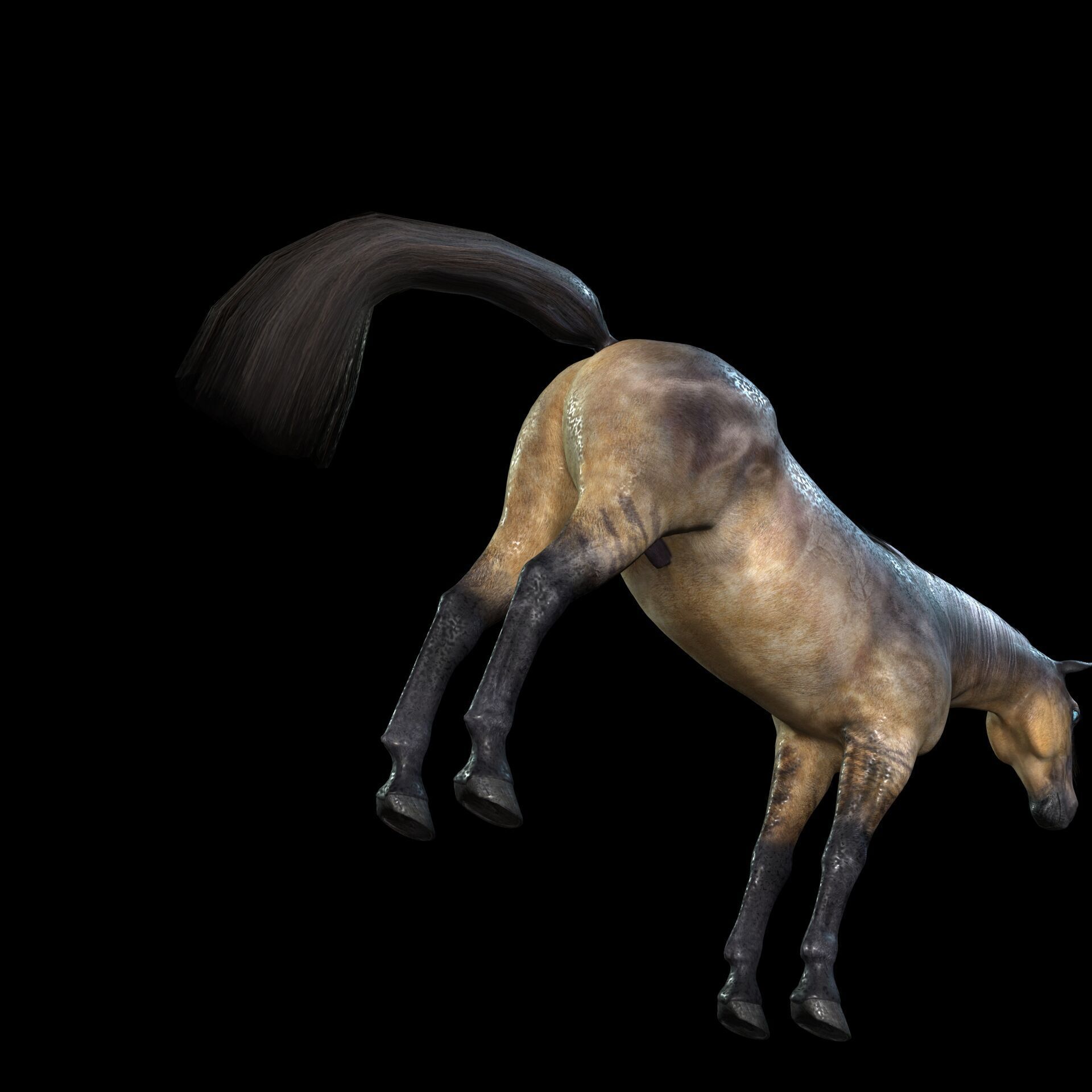 Thoroughbred Arabian Horse WILD WORLD PONY 5 Low-poly 3D model_4