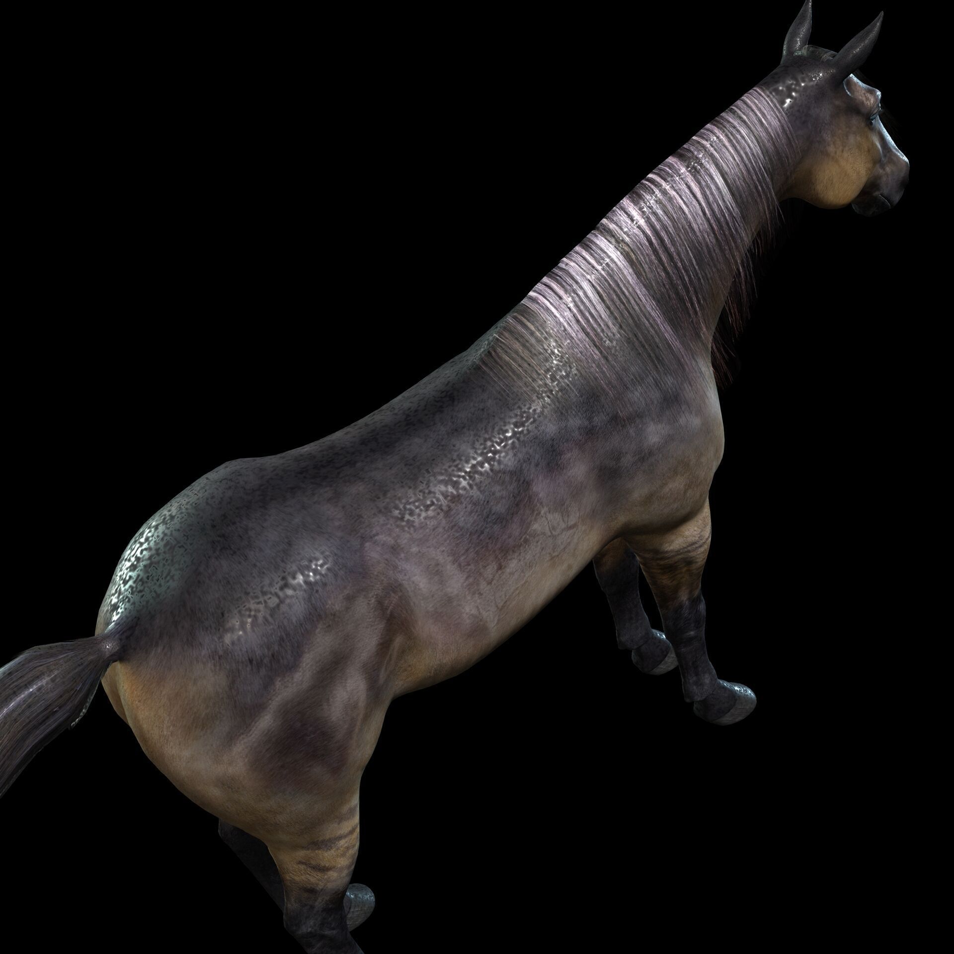 Thoroughbred Arabian Horse WILD WORLD PONY 5 Low-poly 3D model_5