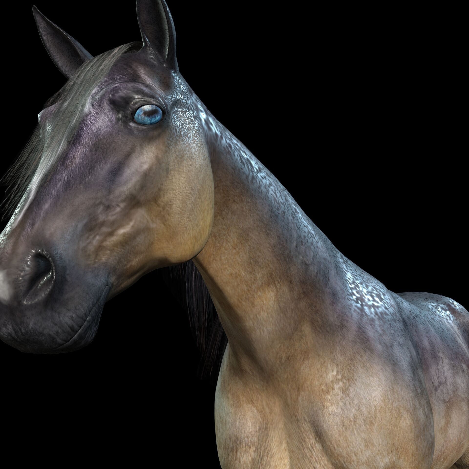 Thoroughbred Arabian Horse WILD WORLD PONY 5 Low-poly 3D model_8