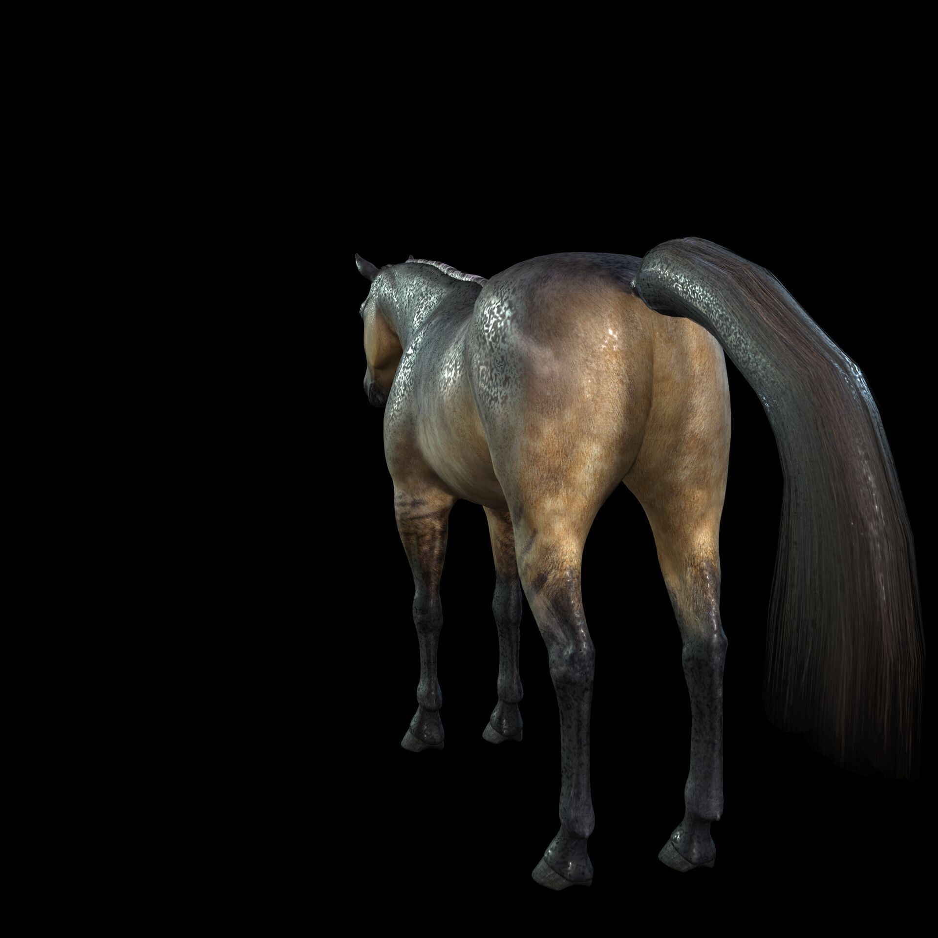 Thoroughbred Arabian Horse WILD WORLD PONY 5 Low-poly 3D model_3