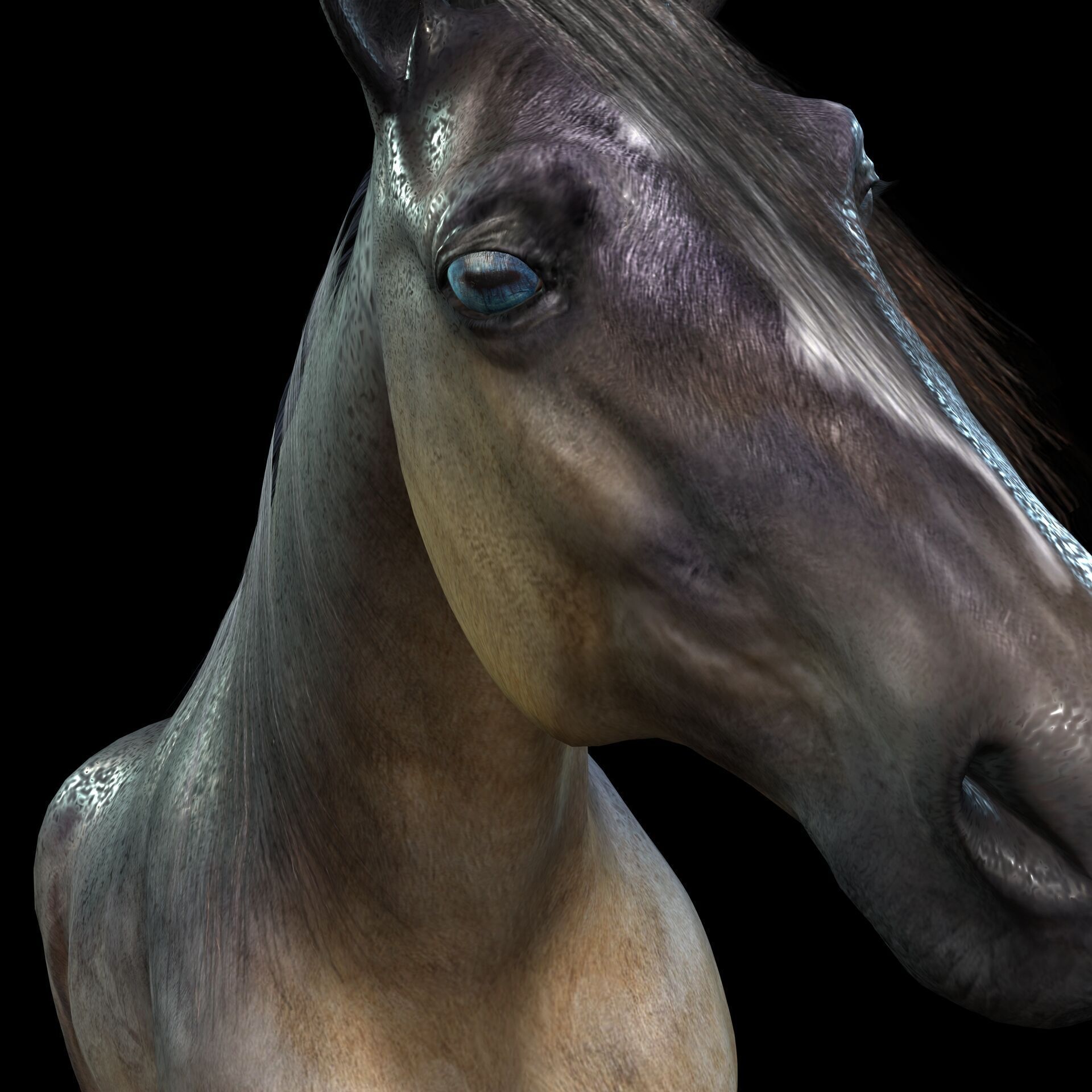 Thoroughbred Arabian Horse WILD WORLD PONY 5 Low-poly 3D model_7