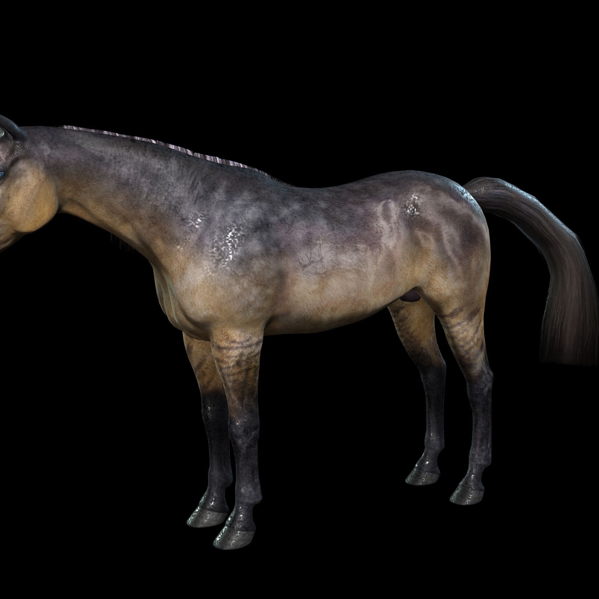 Thoroughbred Arabian Horse WILD WORLD PONY 5 Low-poly 3D model_2