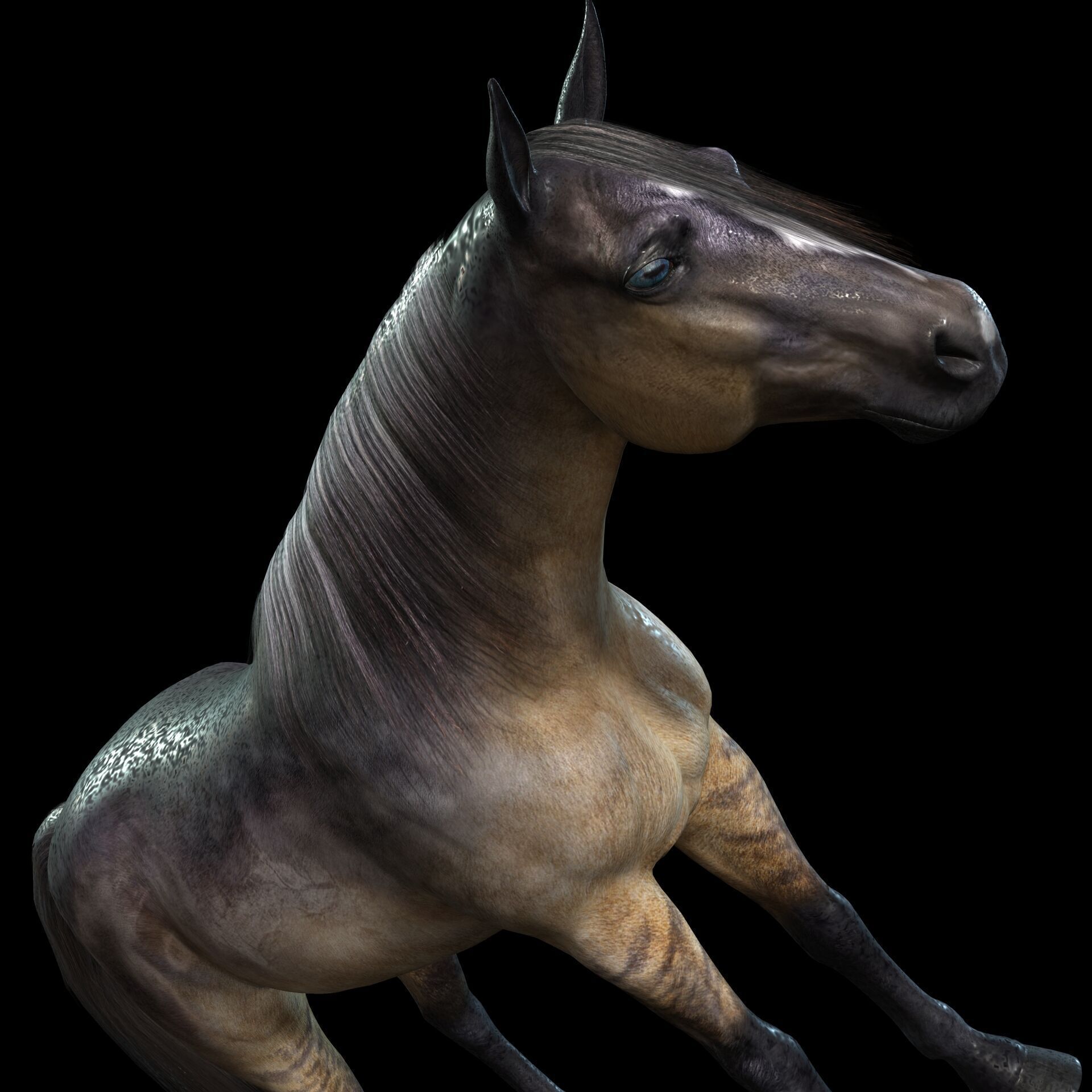 Thoroughbred Arabian Horse WILD WORLD PONY 5 Low-poly 3D model_1