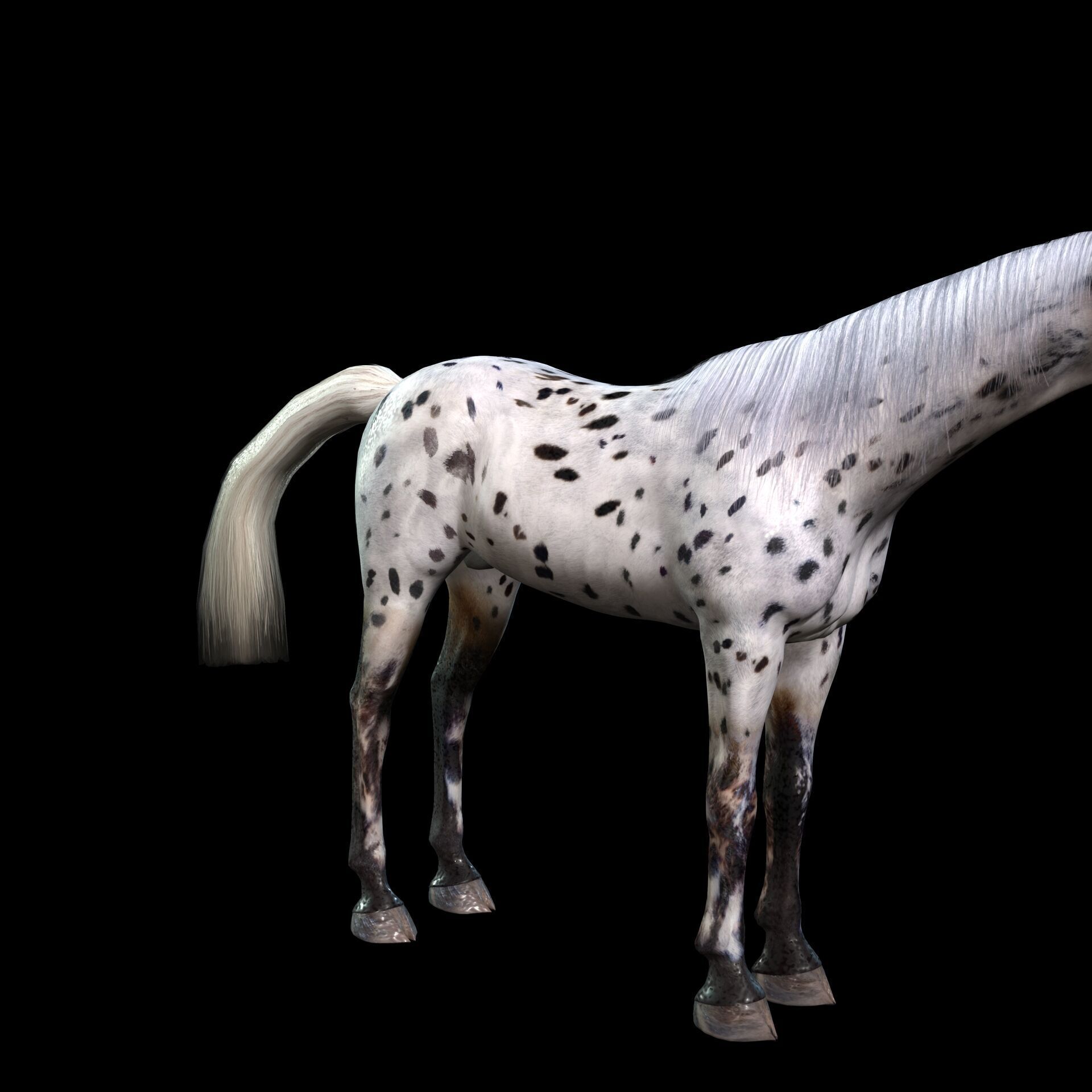 Thoroughbred Arabian Horse WILD WORLD PONY 6 Low-poly 3D model_3