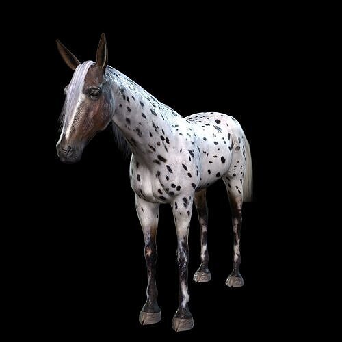 Thoroughbred Arabian Horse WILD WORLD PONY 6 Low-poly 3D model