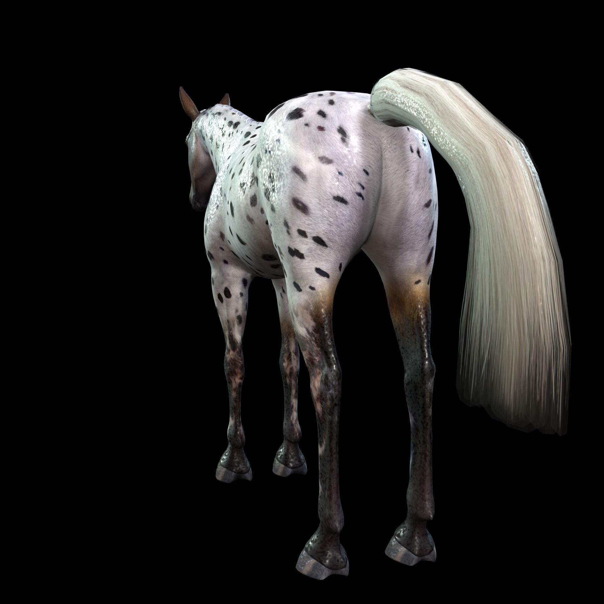 Thoroughbred Arabian Horse WILD WORLD PONY 6 Low-poly 3D model_2