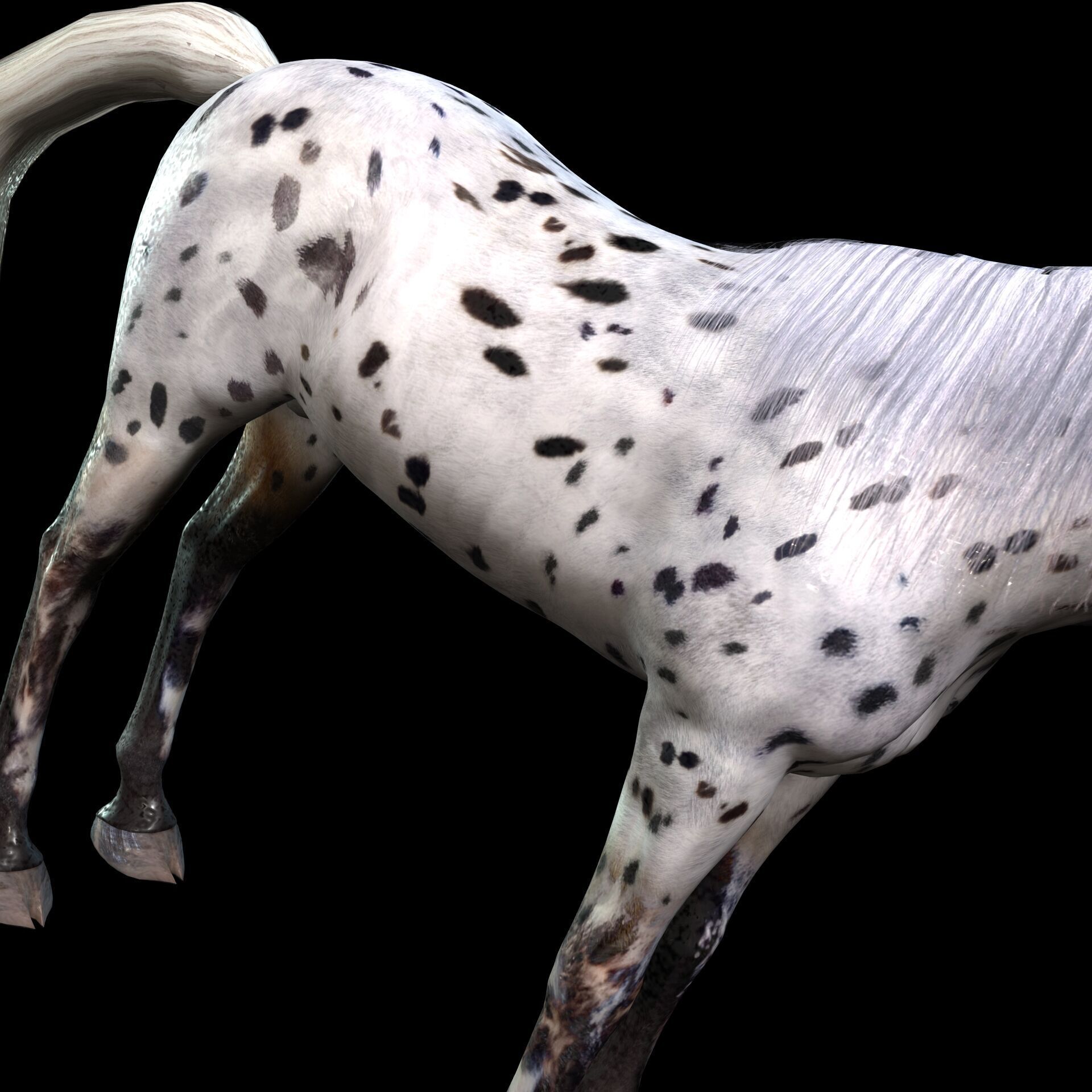 Thoroughbred Arabian Horse WILD WORLD PONY 6 Low-poly 3D model_7