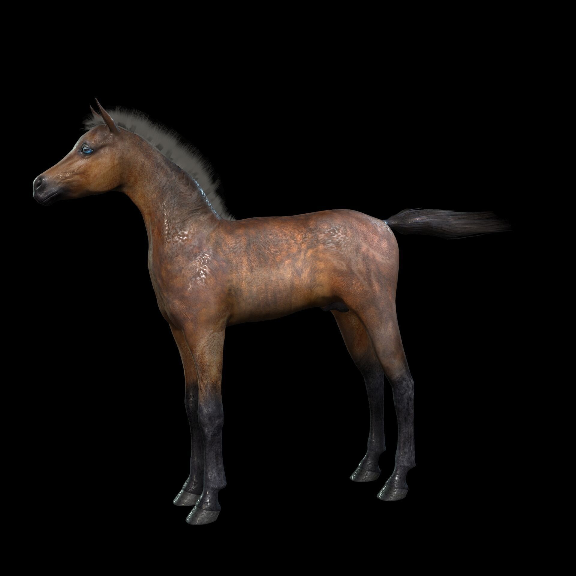 Thoroughbred Arabian Horse WILD WORLD PONY 7 Low-poly 3D model_3