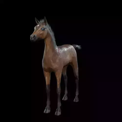 Thoroughbred Arabian Horse WILD WORLD PONY 7 Low-poly 3D model