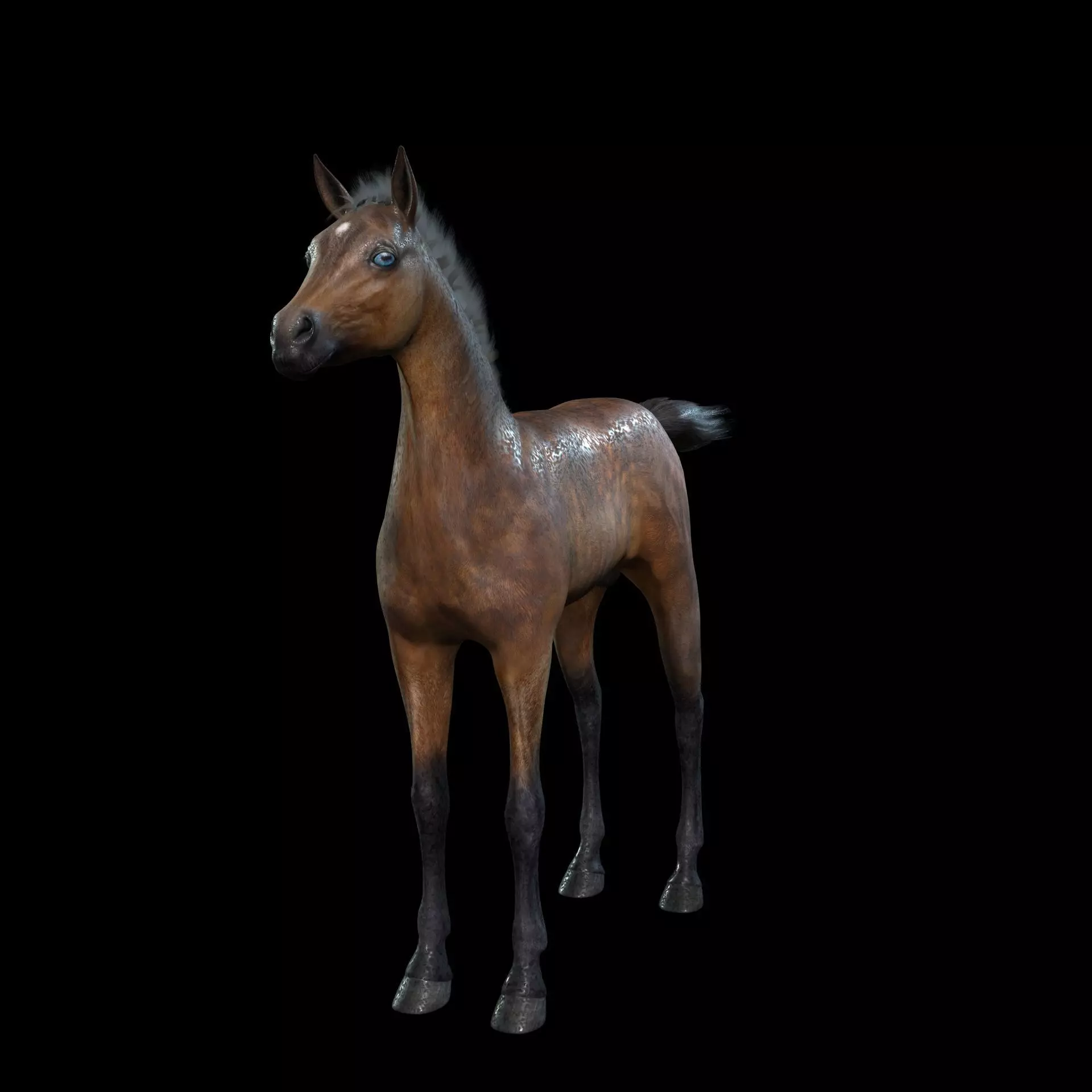 Thoroughbred Arabian Horse WILD WORLD PONY 7 Low-poly 3D model_0
