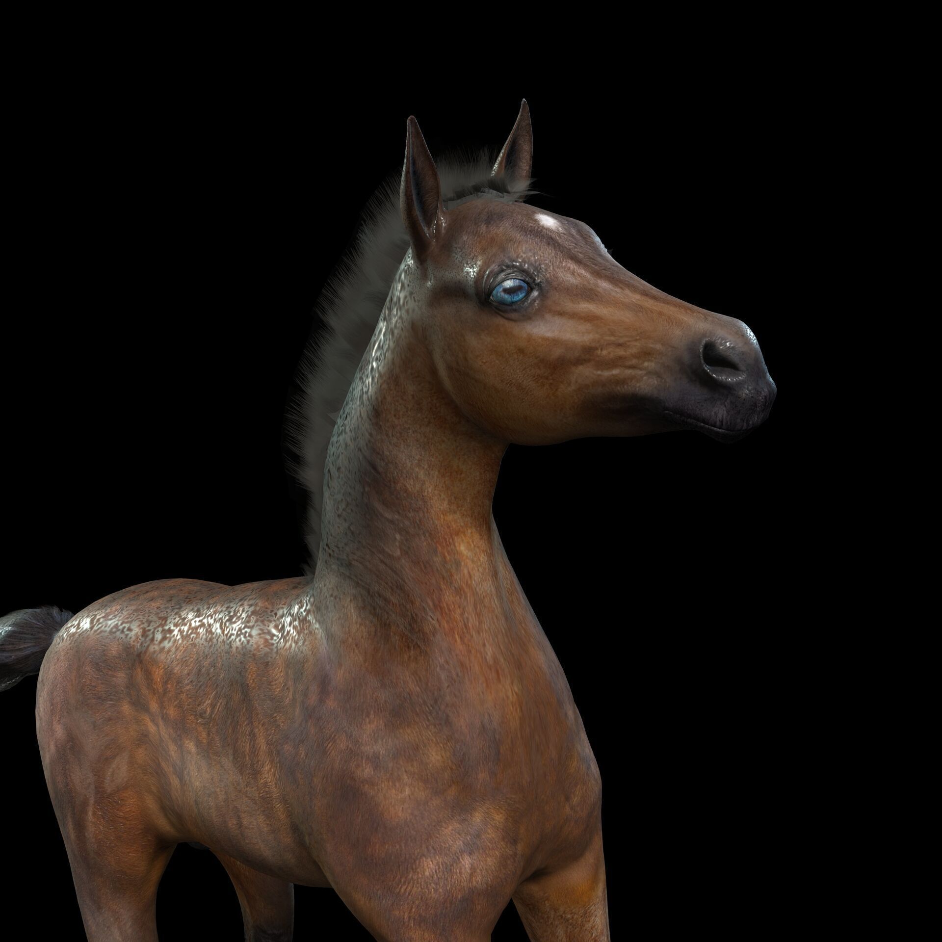 Thoroughbred Arabian Horse WILD WORLD PONY 7 Low-poly 3D model_2