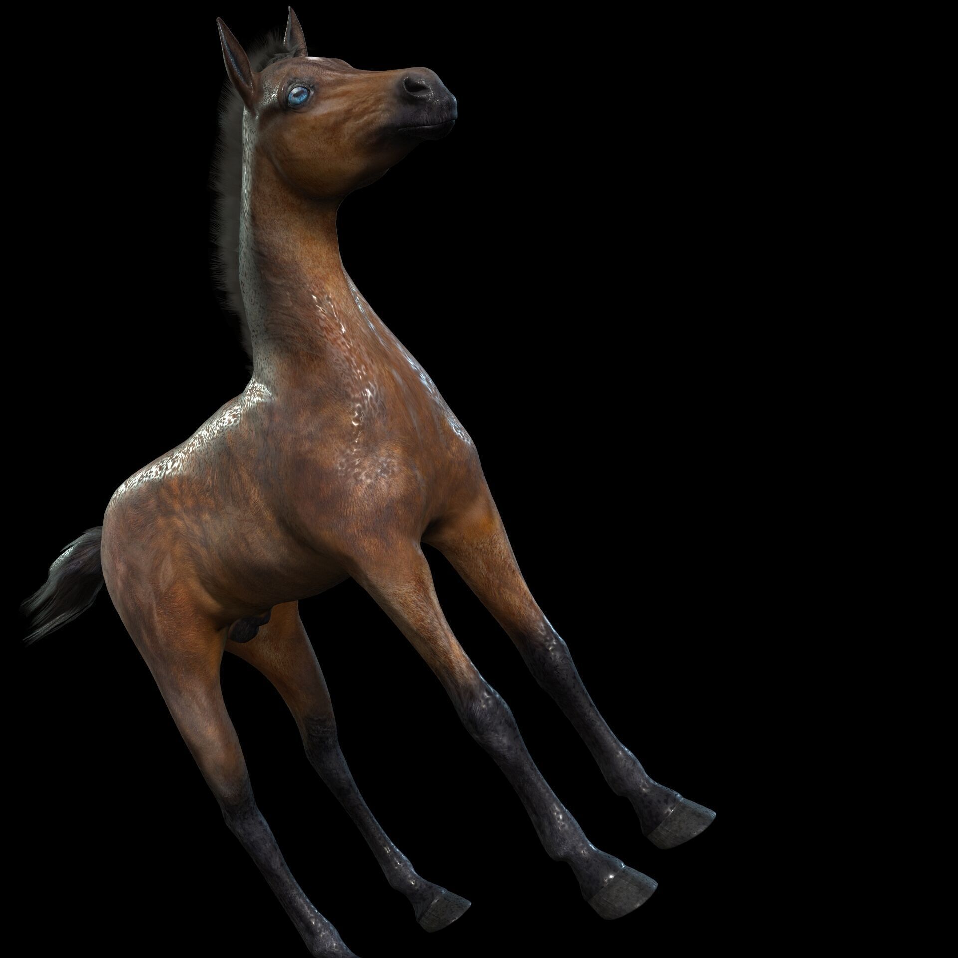 Thoroughbred Arabian Horse WILD WORLD PONY 7 Low-poly 3D model_6