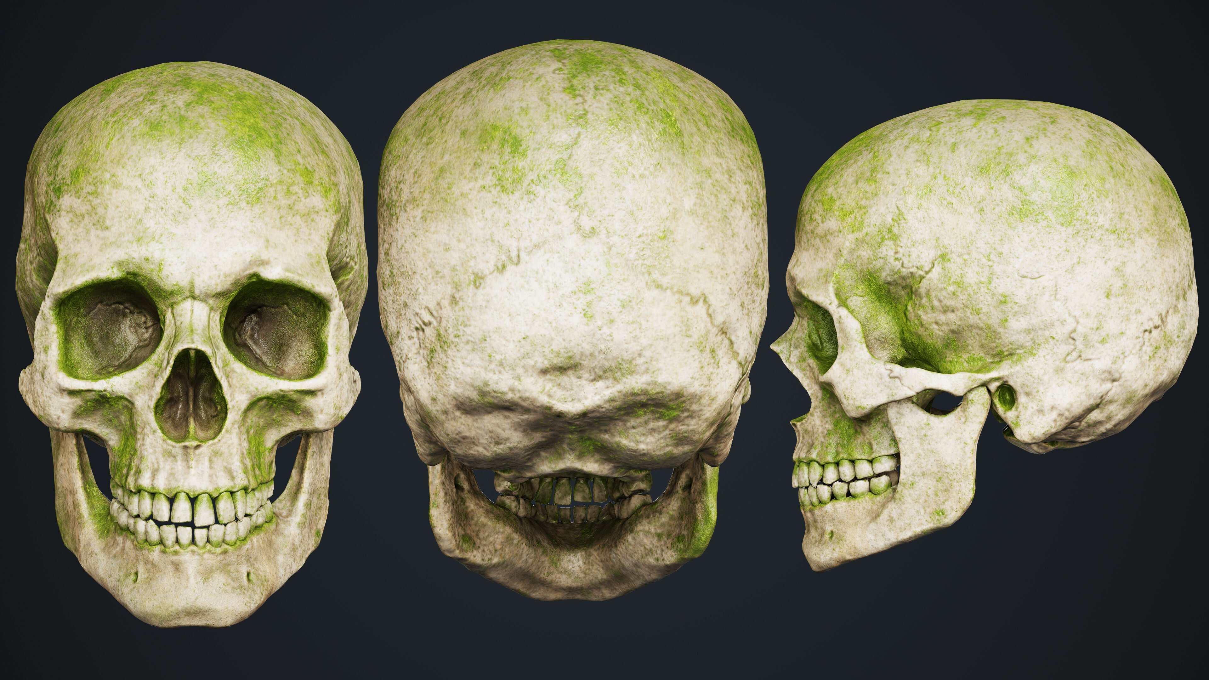 Skeleton Low-poly 3D model_15