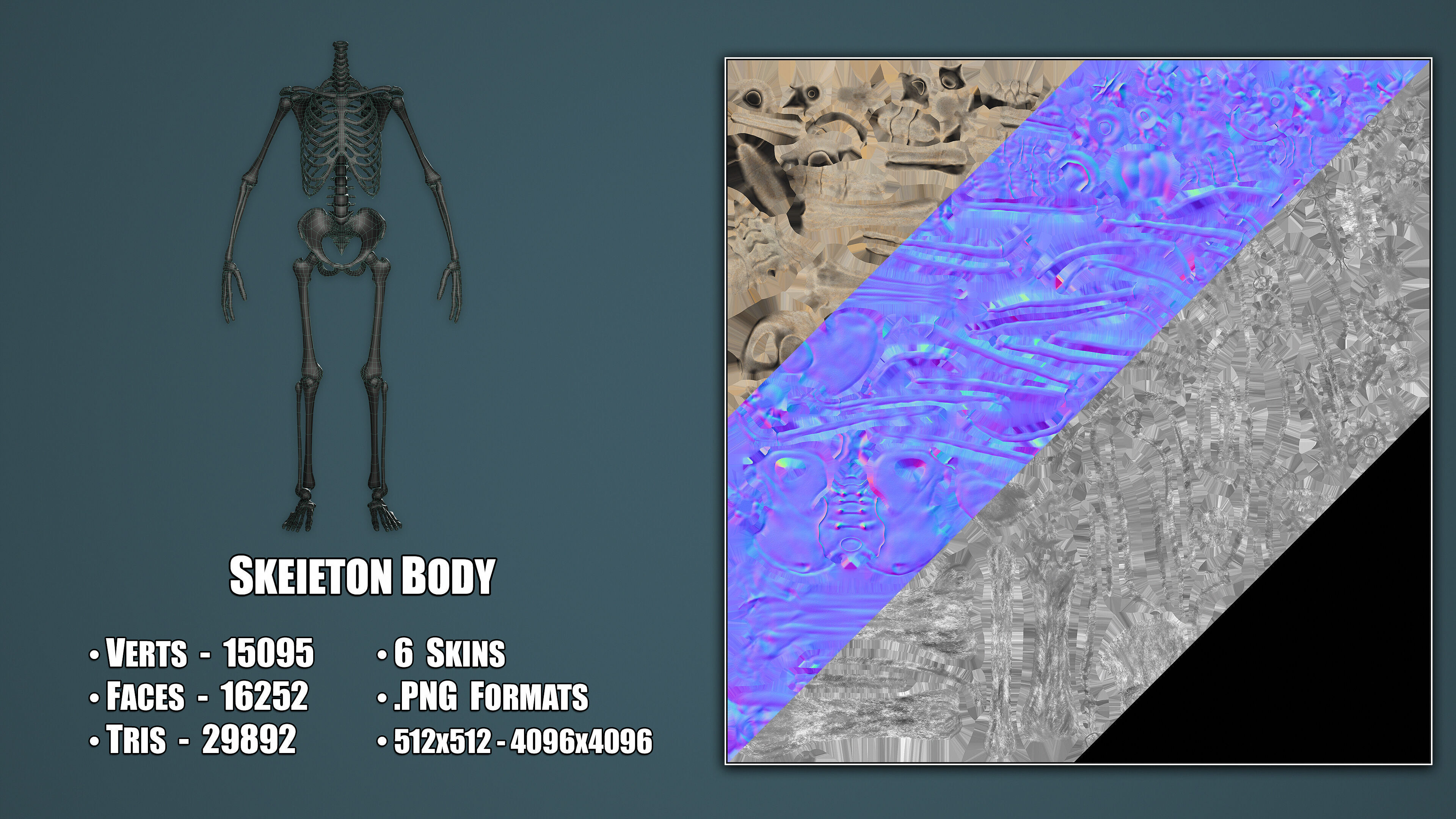Skeleton Low-poly 3D model_5