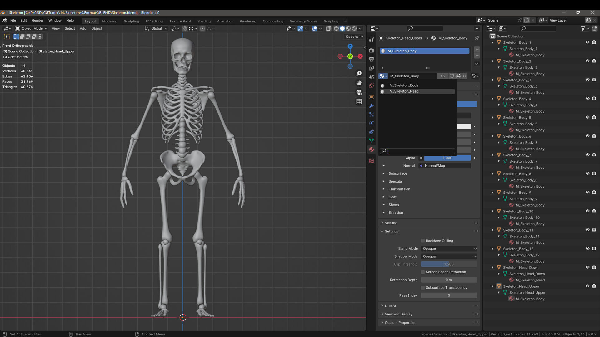 Skeleton Low-poly 3D model_22